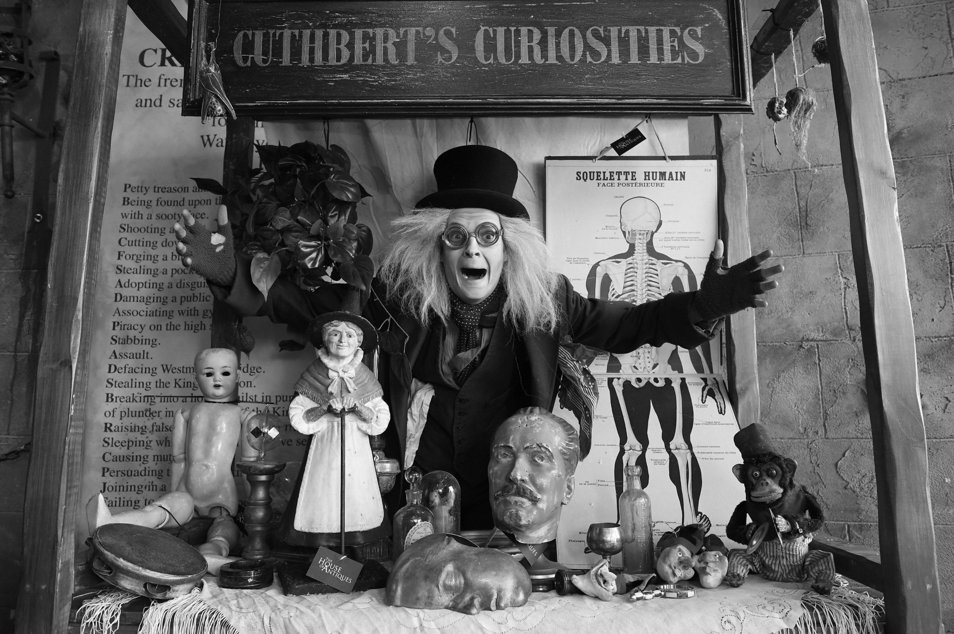 Cuthbert's Curiosities Stall