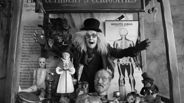 Cuthbert's Curiosities Stall
