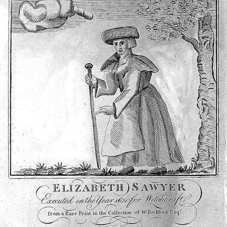 Sawyer 2