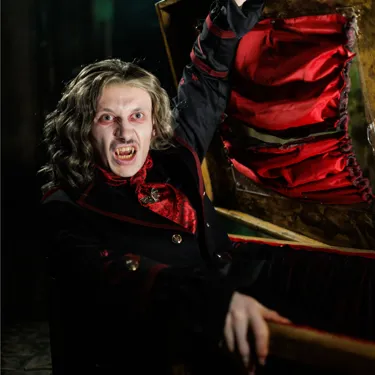 LD Dracula Square (6)