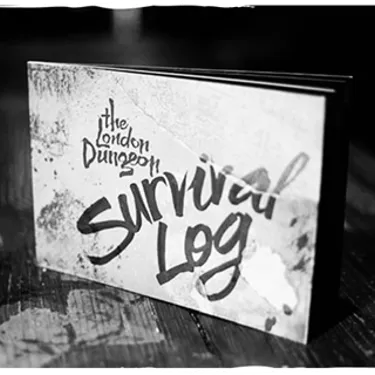 Dungeon Survival Log